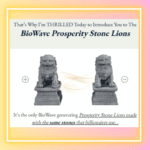 Biowaves Prosperity Stone Lions reviews consumer reports