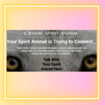 Cosmic Spirit Animal reviews