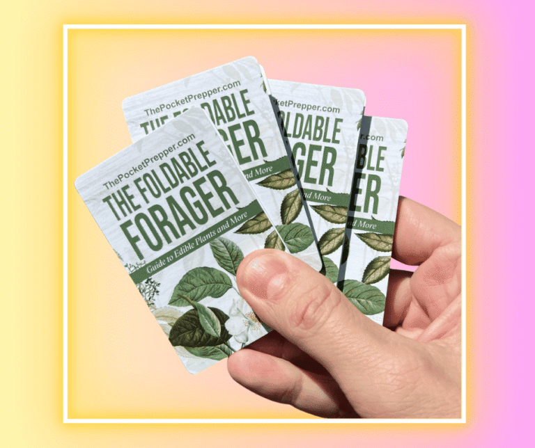 The Foldable Forager reviews