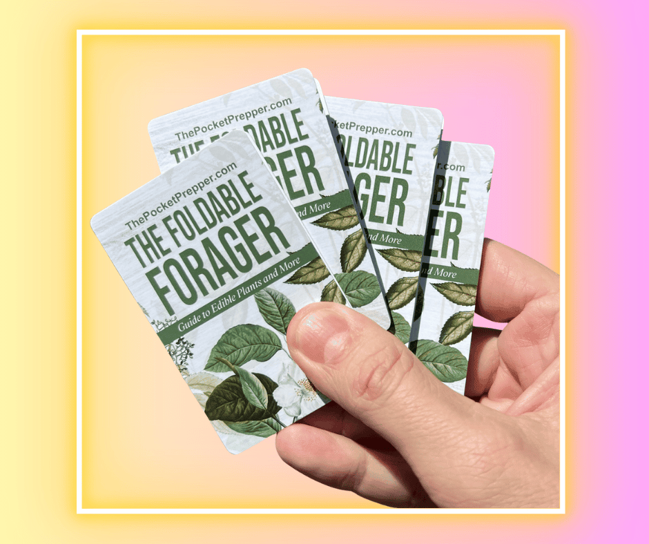 The Foldable Forager reviews