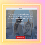 Balinese Soulmate Sketch Reviews