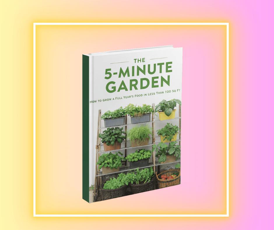 The Minute Garden Reviews